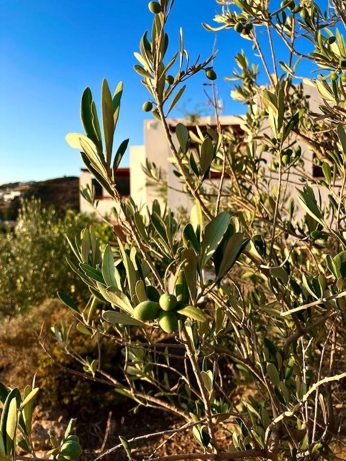 Litois Houses Patmos Sapsila Экстерьер фото